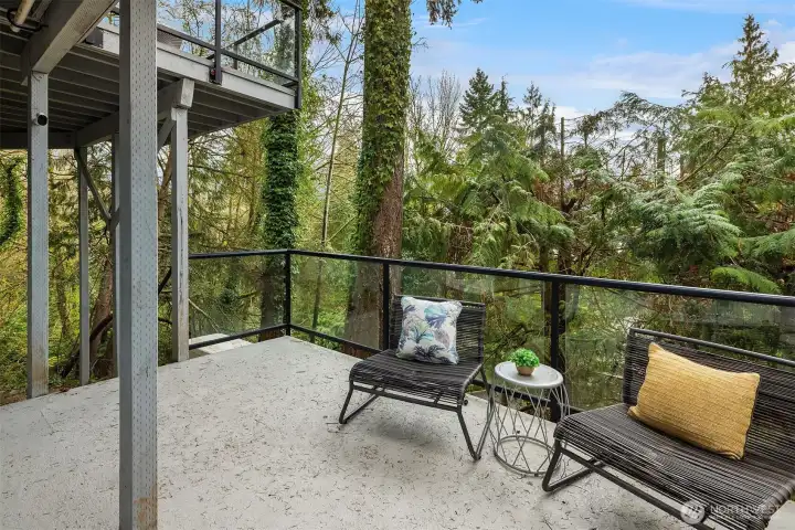 Peaceful lower-level deck tucked among mature evergreens, creating a private outdoor retreat ideal for relaxing, entertaining, or enjoying evenings around the fire pit