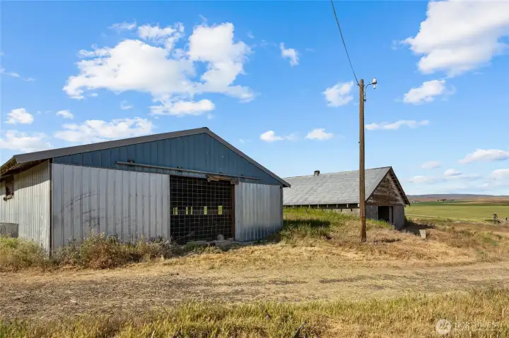 Calf barn and potato cellar. So many possibilities.