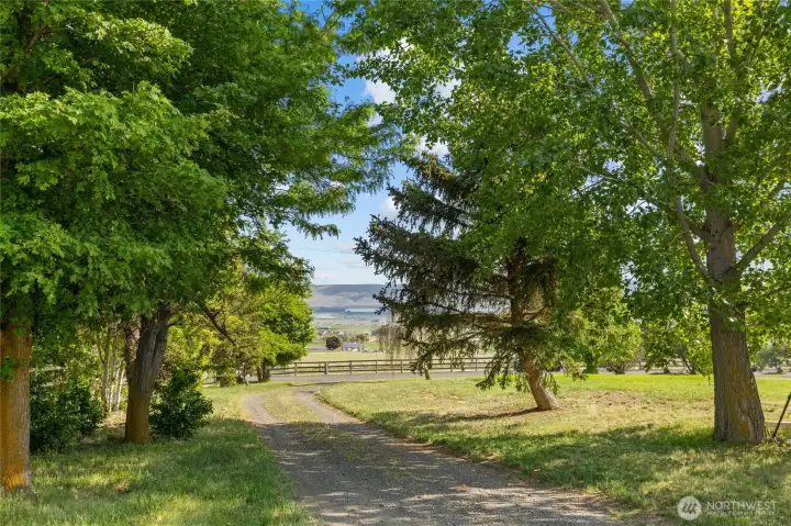 Second driveway to access outbuildings and land.