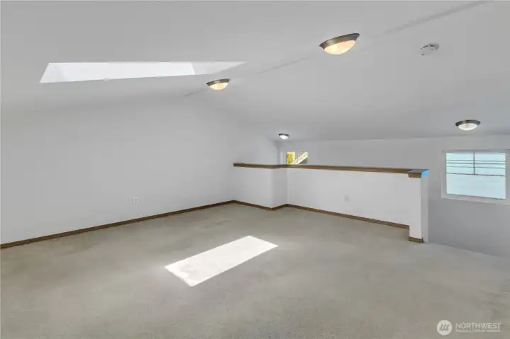 Skylight and windows