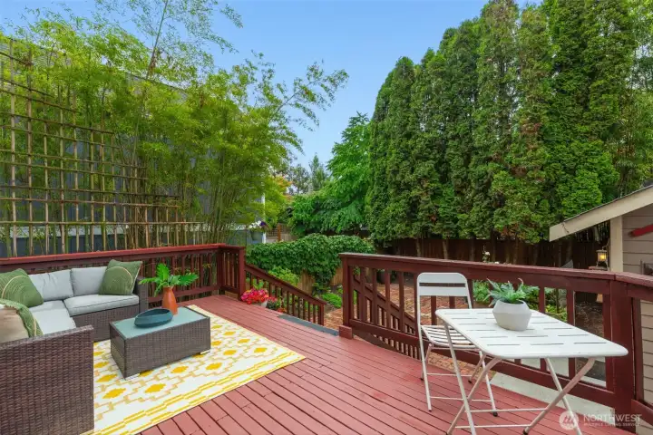 Deck amongst the greenery