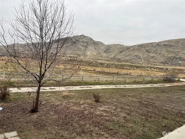 view from porch