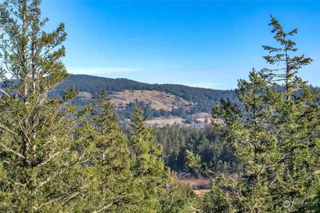 zoomed in photo of Turtleback Mountain. The South Preserve entrance to trails is less than a 10-minute drive away.