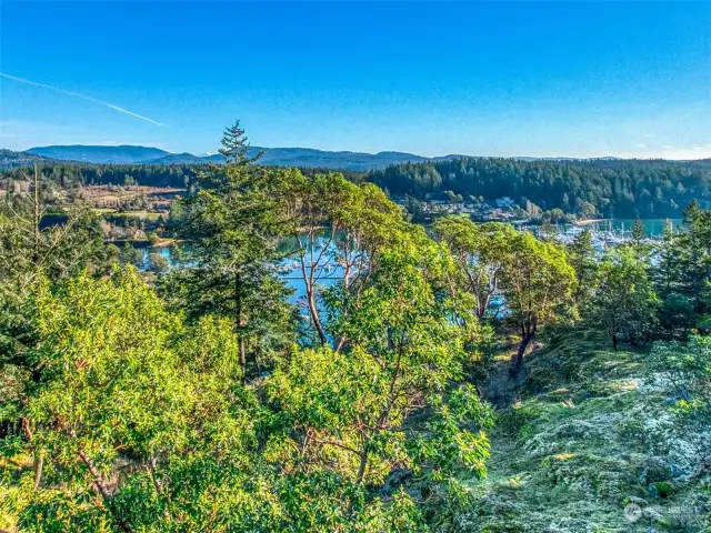 Views expand beyond the harbor to include Turtleback, Mt Constitution, Mt. Woolard and top of Mt. Baker