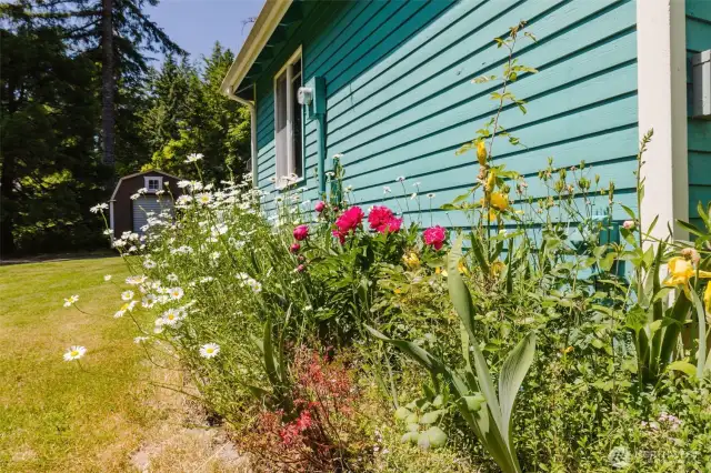 Peonies, iris, daisies, foxglove and more in this whimsical garden