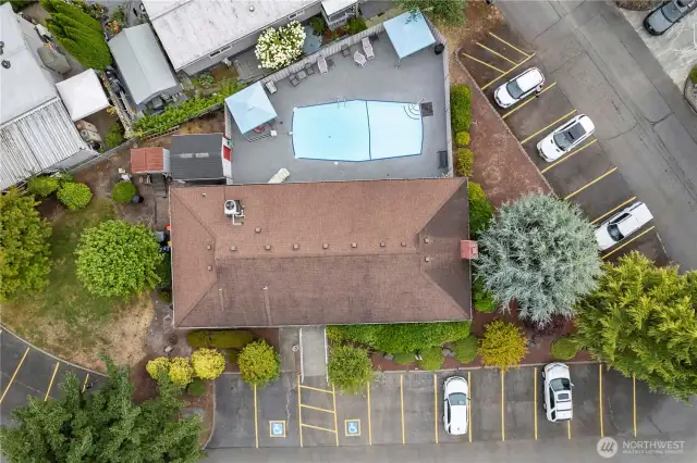 Aerial view of summer fun in the pool with lots of extra parking