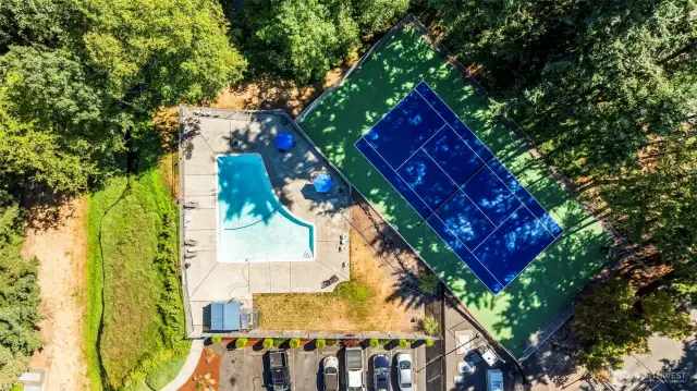 POOL and SPORT COURT