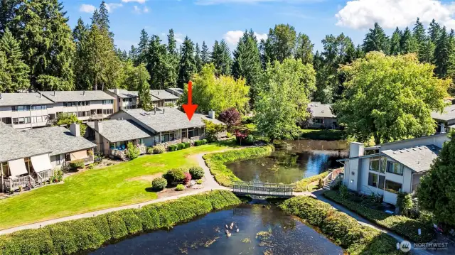 Your lagoon-front condo is marked with the red arrow. The waterfront path takes you down to the dock and clubhouse.