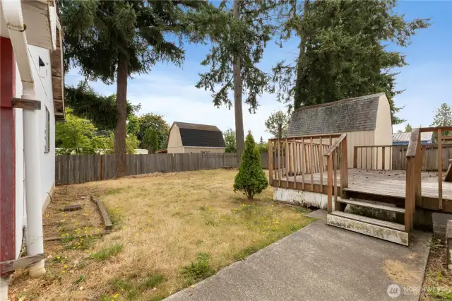 Backyard w/Shed