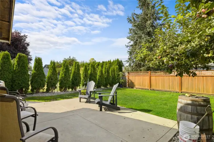 Concrete patio great for hanging out with friends and family.
