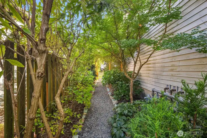Side path to backyard