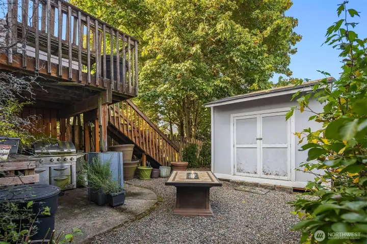 Backyard
