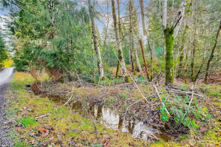 Beautiful level 1.50 lot on Harstine Island. bring your ideas and make it a perfect spot to camp or build your dream home.