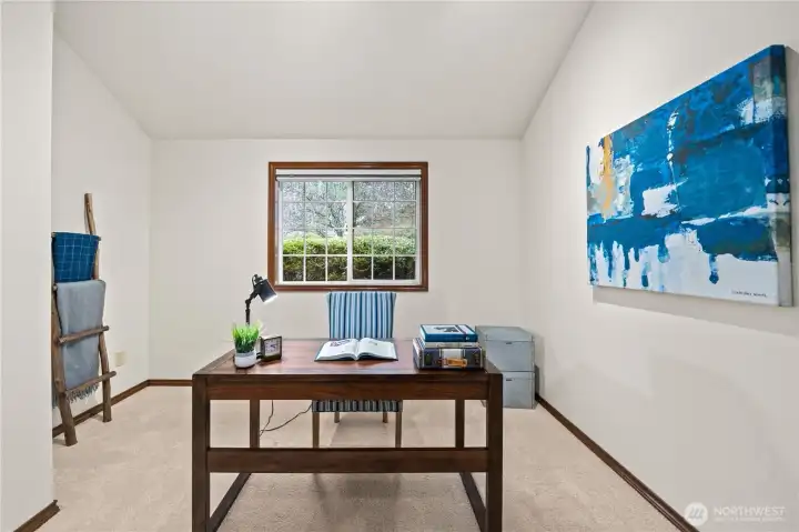 Home office?  Maybe playroom?