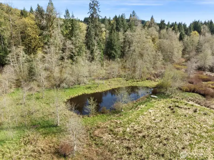 Large natural pond