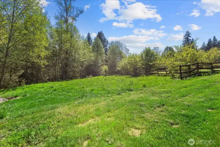 Multiple large pastures with riding trail