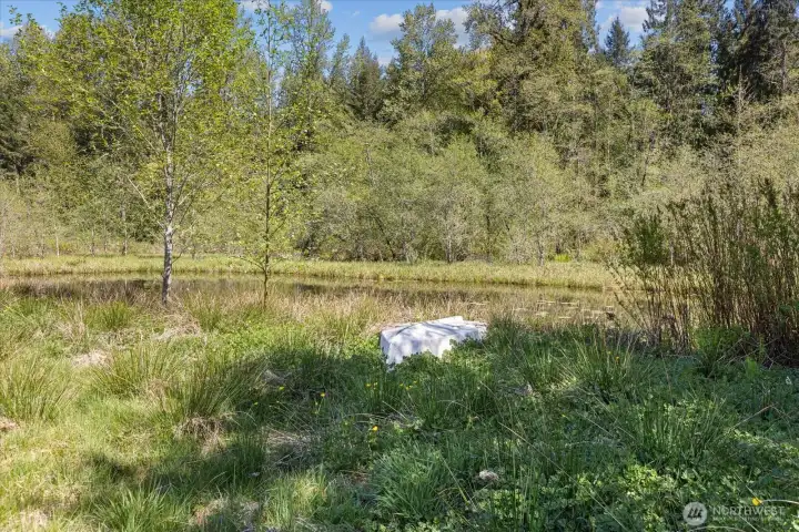 Back pasture pond