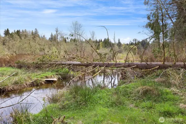 Carpenter Creek