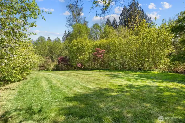 Multiple large pastures with riding trail