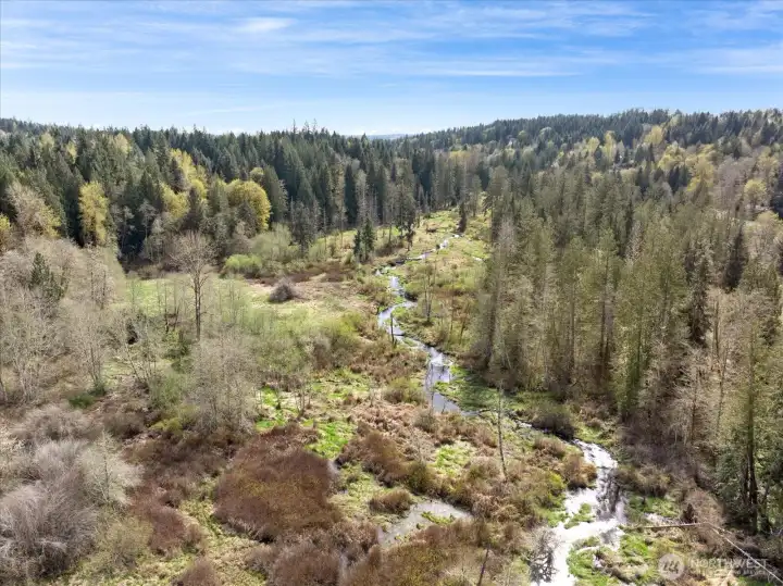 Carpenter Creek