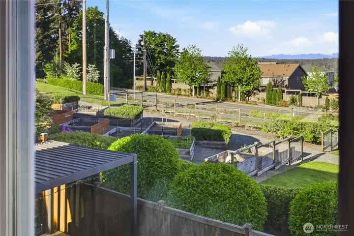 From the primary suite, views extend to the pea patch with a partial view of the louvered pergola.