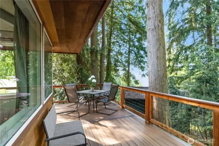 Expansive entertaining deck with filtered lake views