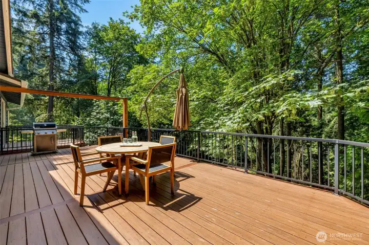 Entertainment size deck