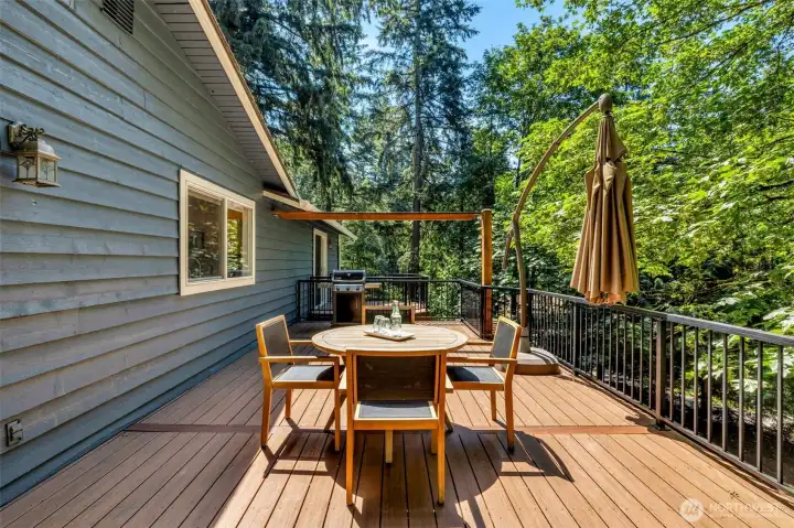Another view of the deck