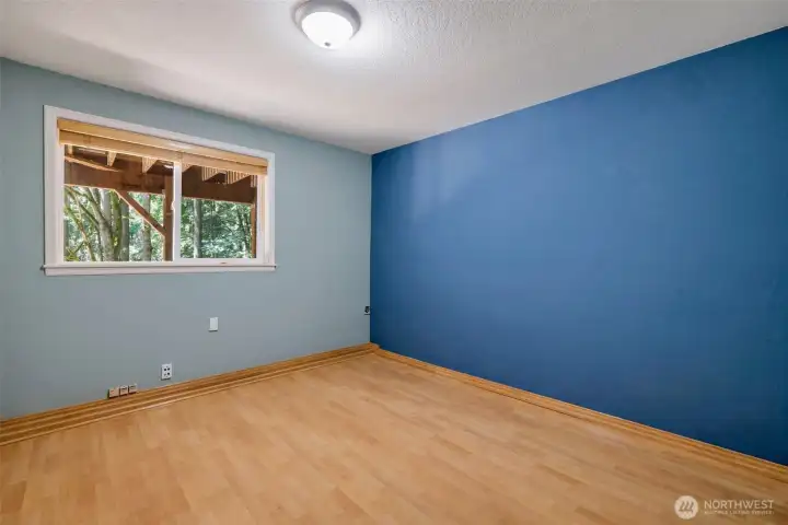 Lower level bonus room/office
