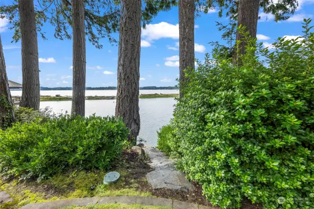 steps from the lawn to the lagoon