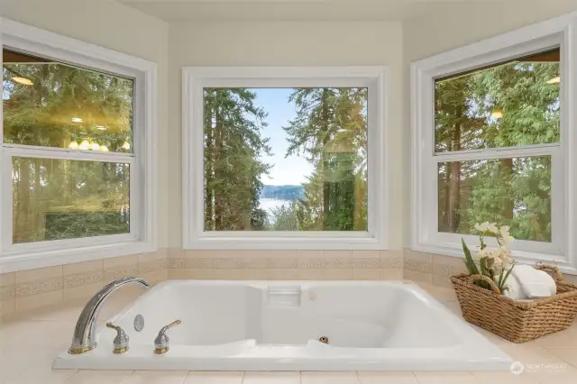 Did you remember there was a view from the jetted soaking tub?