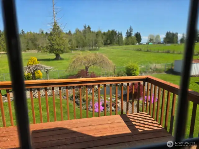 View from Upper Deck Off Primary