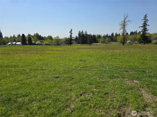Front field