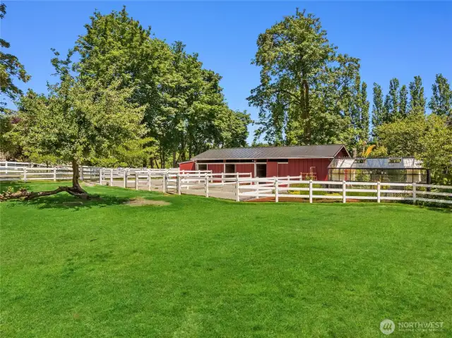 Dreamy pastures. If you didn't have horses you could put in a pickleball court here? Swimming pool?