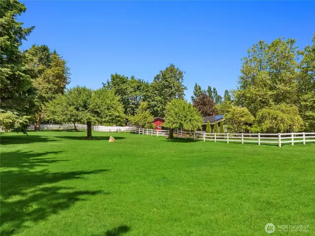 The owners were told that these apple trees are some of the oldest in Kitsap County! They produce so much and the owners have had an apple press to make their own cider!