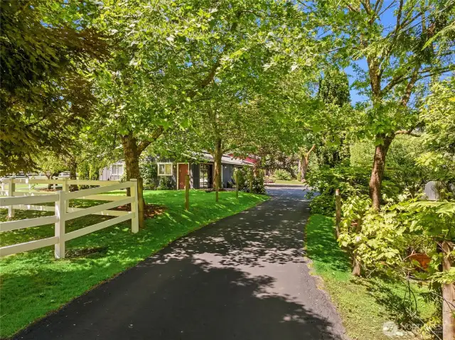 Imagine coming into your drive everyday and seeing this view!