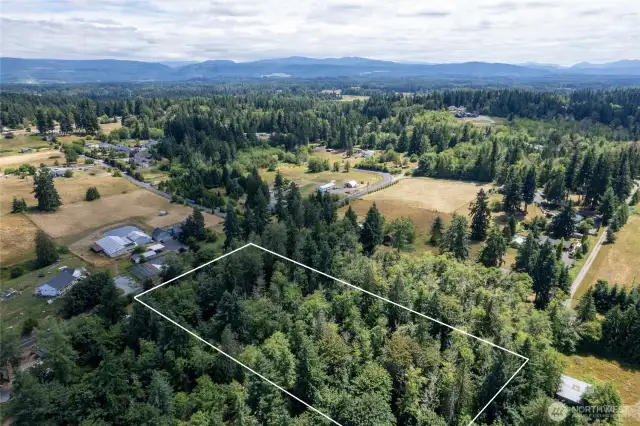 On a clear day, Rainier would be in the middle of the picture. Your facing southeast