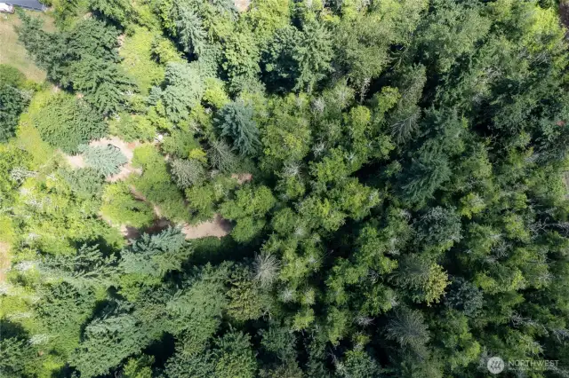 Looking down at the middle of the property