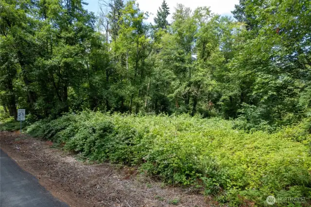 The blackberry bushes can easily be scrapped away for access to the middle of the property
