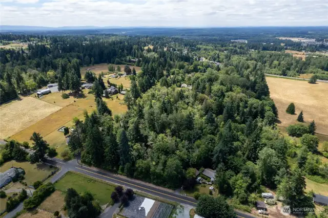 No wetlands on this property but buyer to verify this information