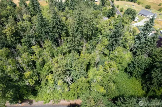 No wetlands on this property but buyer to verify this information