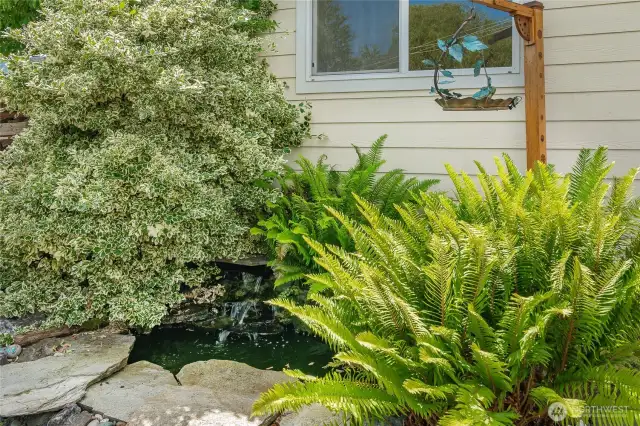 Koi pond