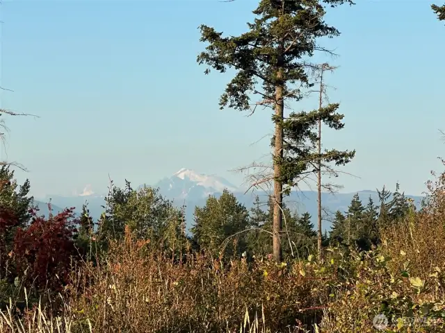 Mt. Baker...