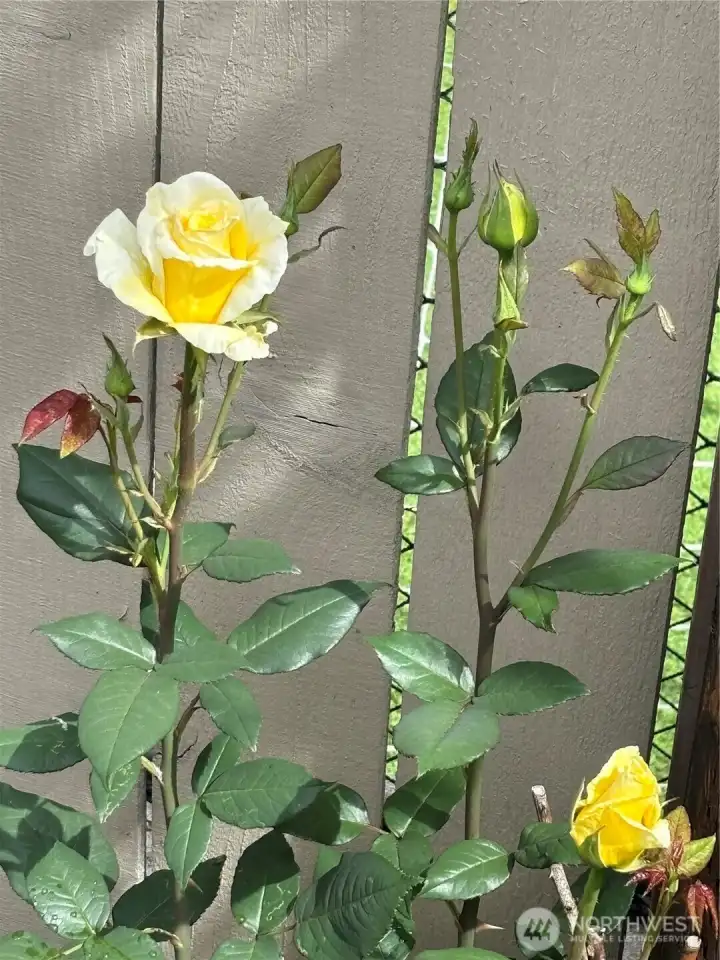 Taken in the warmer season by sellers