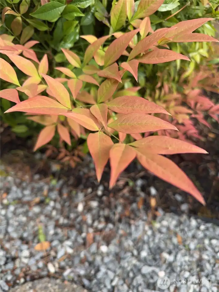 Another photo from Spring