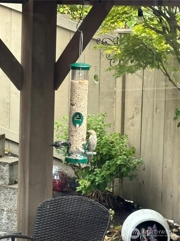 Great bird watching!