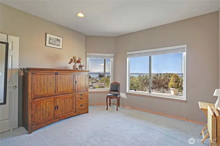 2nd lower level bedroom with views!