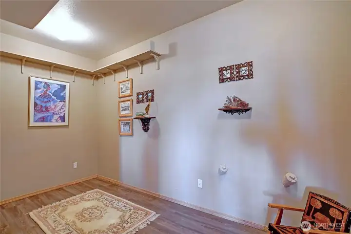 Bonus room on lower level~