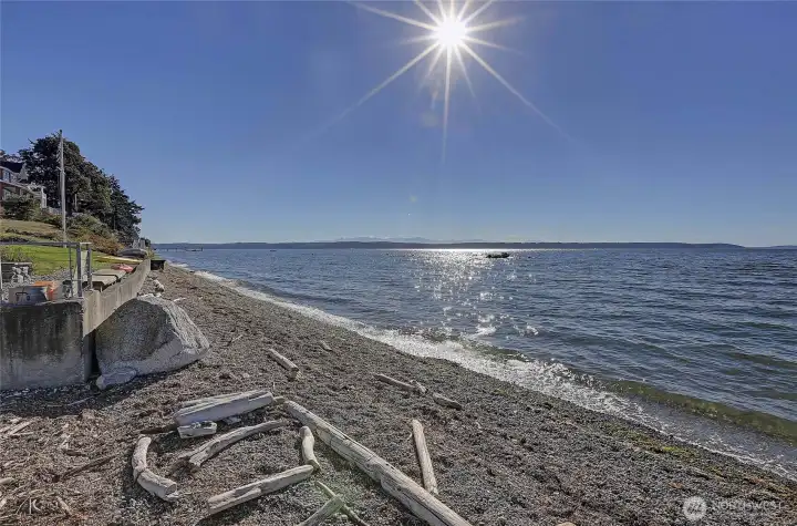 Amazing Madrona Beach!