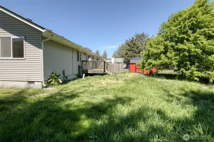 Large backyard with trees and grass